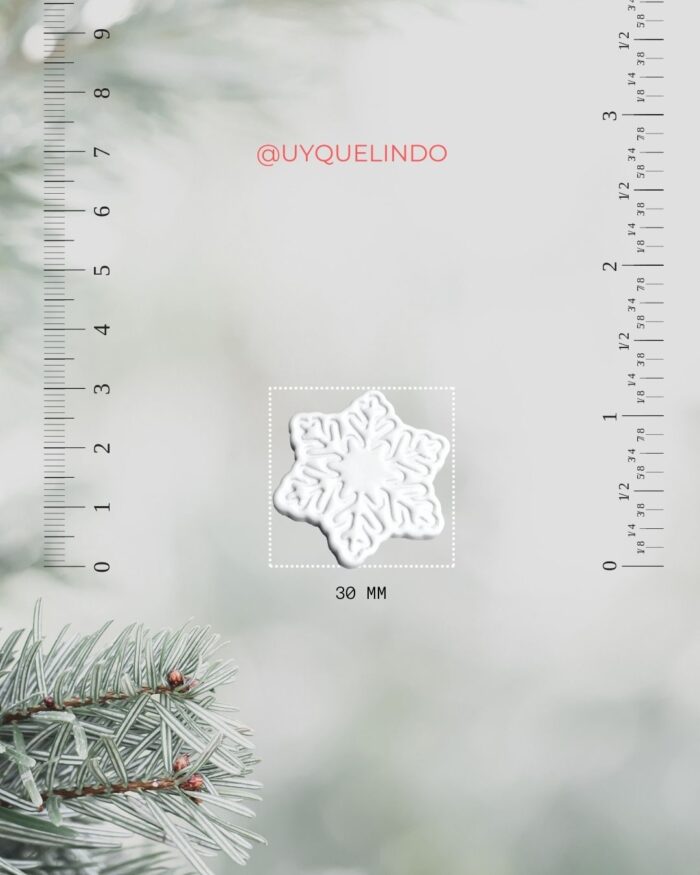 Snowflake cutter with star shape